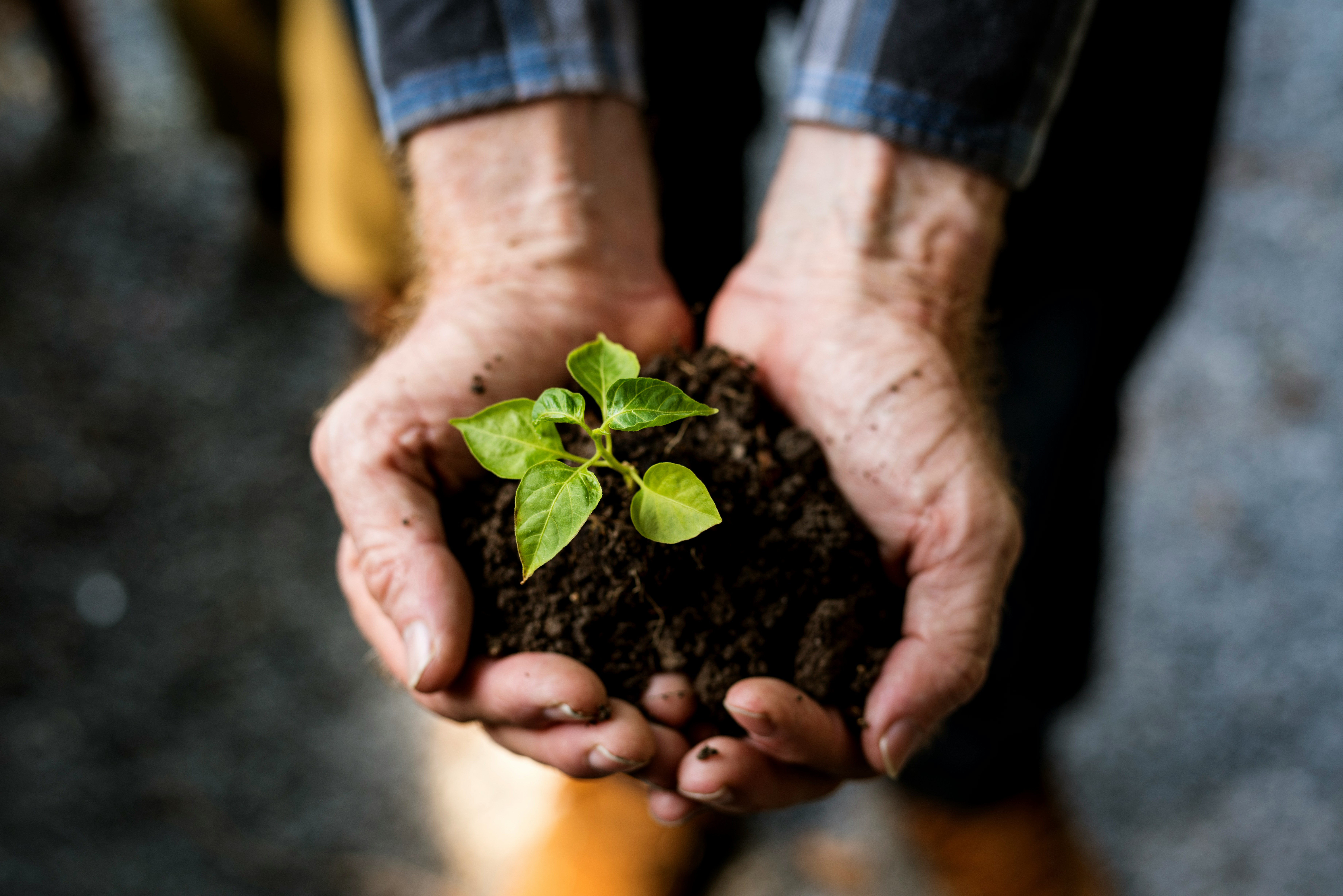 Picture of Tamara's office